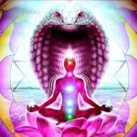 924b27_8e8b4ec9cbdf4465b98a205c088a8707~mv2